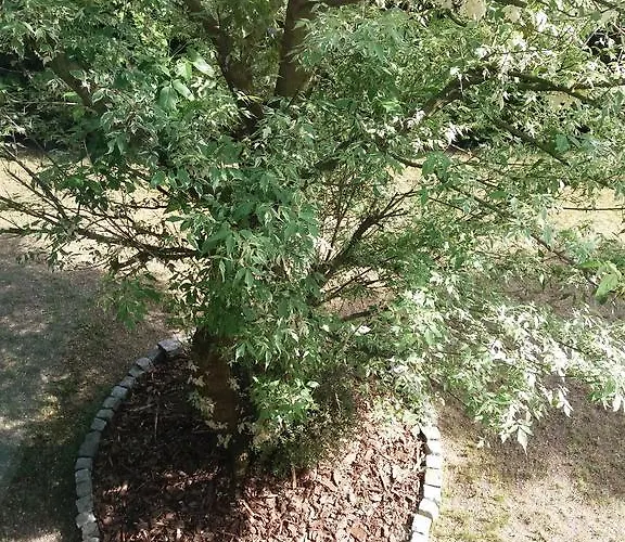 Tabu Δωμάτια σε οικογενειακή κατοικία *
