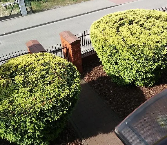 Tabu * Познань